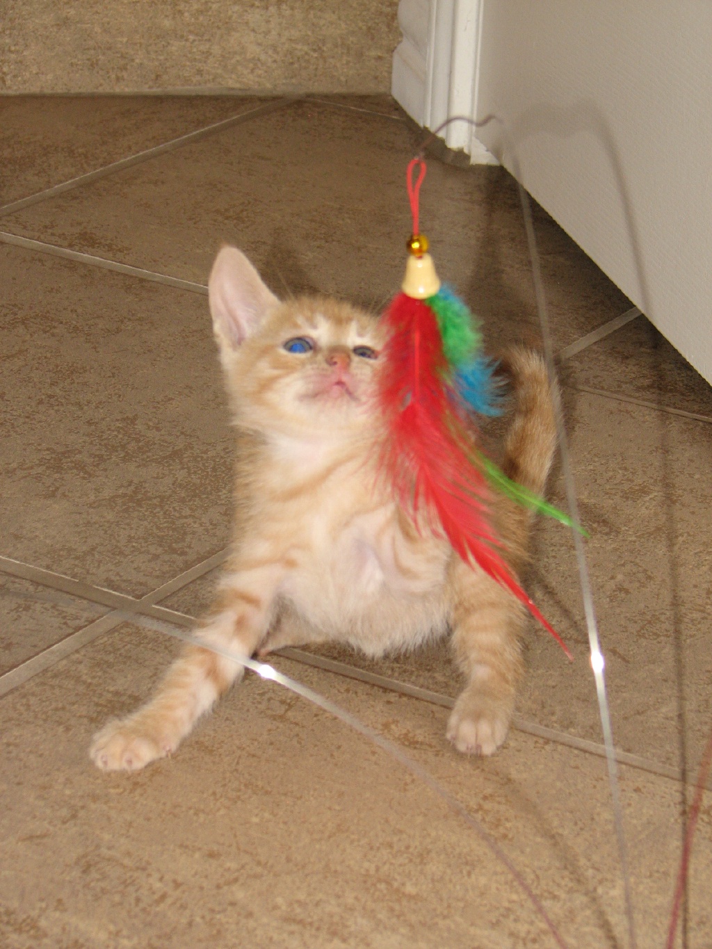 20100206 432.JPG